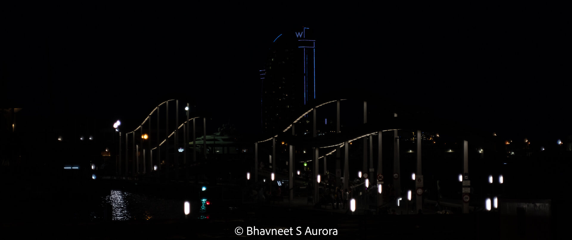 Bhavneet S Aurora